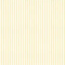 Farrow & Ball Wallpaper Closet Stripe BP 356