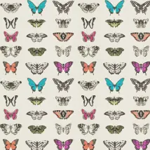 Harlequin Wallpaper Papilio 111079