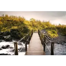 Coordonne Mural Continue en Route Bridge  4500162N