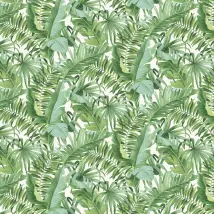 Albany Wallpaper Baja 24136