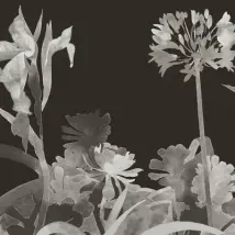 Paint & Paper Library Mural Aloe Walk 0393AWPERSE