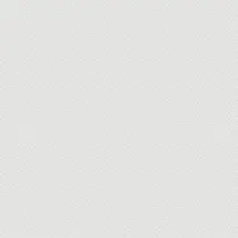 SK Filson Wallpaper Small Allover DE41867