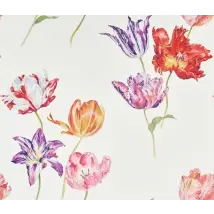 Sanderson Mural Tulipomania 216666