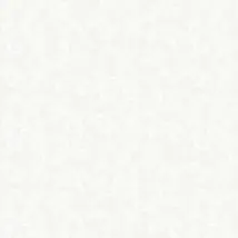 SK Filson Wallpaper Trellis Scroll DE41824