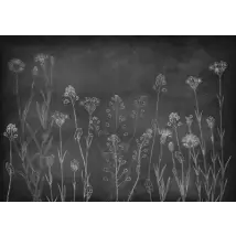 Coordonne Mural Wild Chalk 8500102