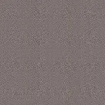 Paint & Paper Library Wallpaper Seedpod 0360SEPONTE