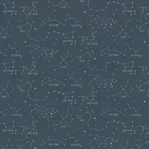 Caselio Wallpaper Constellations 101916918
