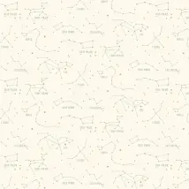 Caselio Wallpaper Constellations 101917125