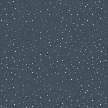 Caselio Wallpaper Stars In Your Eyes 101926918