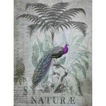 ARTist Mural Peacock Jungle 119709