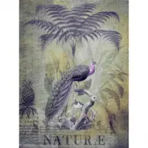 ARTist Mural Peacock Jungle 119713