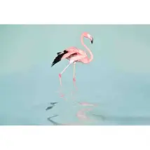 ARTist Mural Flamingo Water 119777