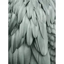 ARTist Mural Feathers 119845