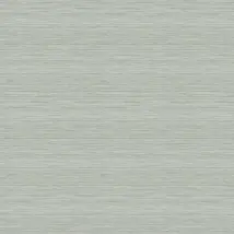 Scott Living Wallpaper Barnaby Texture FD25964