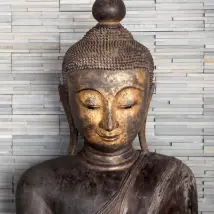 Anaglypta Mural Buddha 5456-4