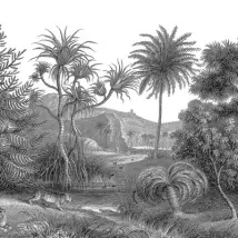 Rebel Walls Mural Jungle Land Maxi FR14612-8