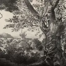 Rebel Walls Mural Mirage FR15811-8