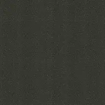Roberto Cavalli Wallpaper Textured Pantera 19023