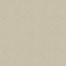 Etten Wallpaper Skin 2010506