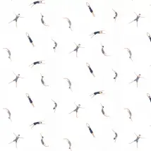 Caselio Wallpaper Funny Swim 102696234