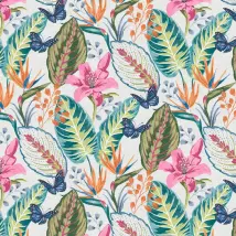 Envy Wallpaper  Eden 118613