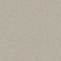 Boråstapeter Wallpaper Shades 5060