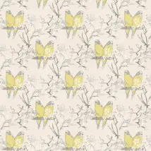 Belynda Sharples Wallpaper Budgie AOW-BUDGIE 01