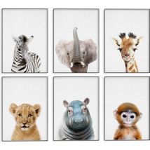 Generic | Safari Posters met Dieren voor Kinderkamer - 6 Posters - 21 x 30cm
