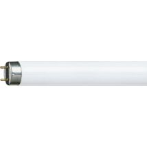 Philips TL-D 16W lampe fluorescente G13 Blanc