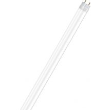 OSRAM Pure Led tube - 1.2M - Blanc lumière du jour (6500K) - 15 W - 8 Pièces