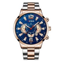 DEYROS Roestvrij Staal Sport Horloge voor Heren - Kwarts Uurwerk Kalender Lichtgevende Klok Staal Wit Blauw