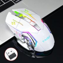 T-WOLF Q-13 Draadloze Gaming Muis - 2.4GHz RGB Optisch Ergonomisch met DPI Aanpassing tot 2400 DPI - Wit