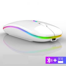 WMGW Draadloze RGB Muis - 2.4GHz / 1600DPI / Optisch / Ergonomisch / Tweehandig - Wit