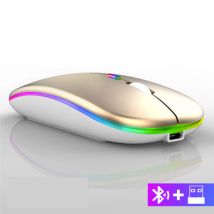 WMGW Draadloze RGB Muis - 2.4GHz / 1600DPI / Optisch / Ergonomisch / Tweehandig - Goud