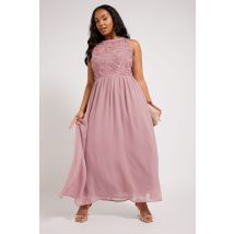 Yours London Plus Size Yours London Curve Pink Lace Front Chiffon Maxi Bridesmaid Dress Size 20