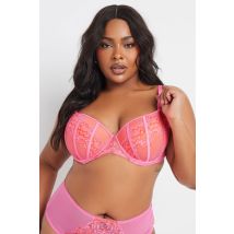 Yours Plus Size Pink Contrast Lace Padded Plunge Bra Size 46E