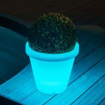 Lichtobjekt Blumentopf LED Cali (H65 cm) - Farbwechsel