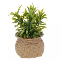 Plante artificielle en pot (H20 cm) Jil Verte