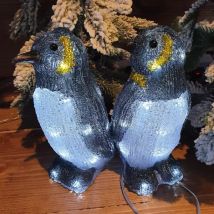 Verlichte Set van 2 pinguïns Ice koud wit 40 LED
