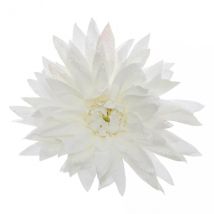 Fiore decorativo su clip (D15 cm) Dahlia Bianco glitterato