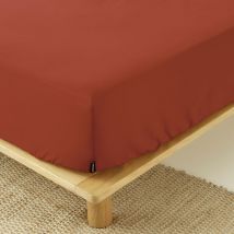 Drap housse percale de coton (90 x 200 cm) Cali Terracotta