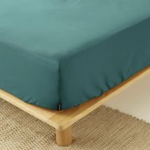 Sábana bajera en percal de algodón (140 cm) Cali Azul trullo
