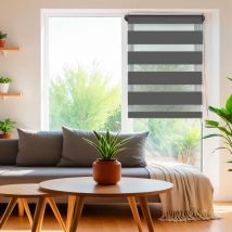 Store enrouleur Jour / Nuit (45 x 250 cm) Gris anthracite