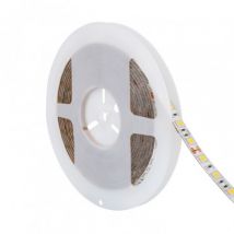 Ruban LED 24V DC 60LED/m 5m IP65 Largeur 10mm Plusieurs options