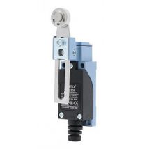 MAXGE Lever Limit Switch with Adjustable Metallic Washer - 1NC+1NO