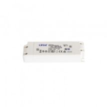 Driver LIFUD 100-240V No Flicker Output 27-40V 1000mA 40W LF-GIF040YC 40 W