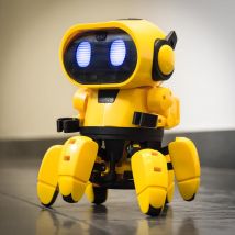 Tobbie the Self-Guiding AI Robot