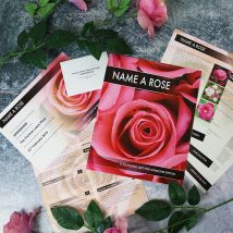 Grow and Name a Unique Rose Bush