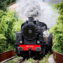 Steam Train and Afternoon Tea for Two