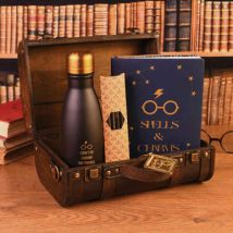 Harry Potter Trouble Finds Me Hogwarts Trunk Gift Set, Metal